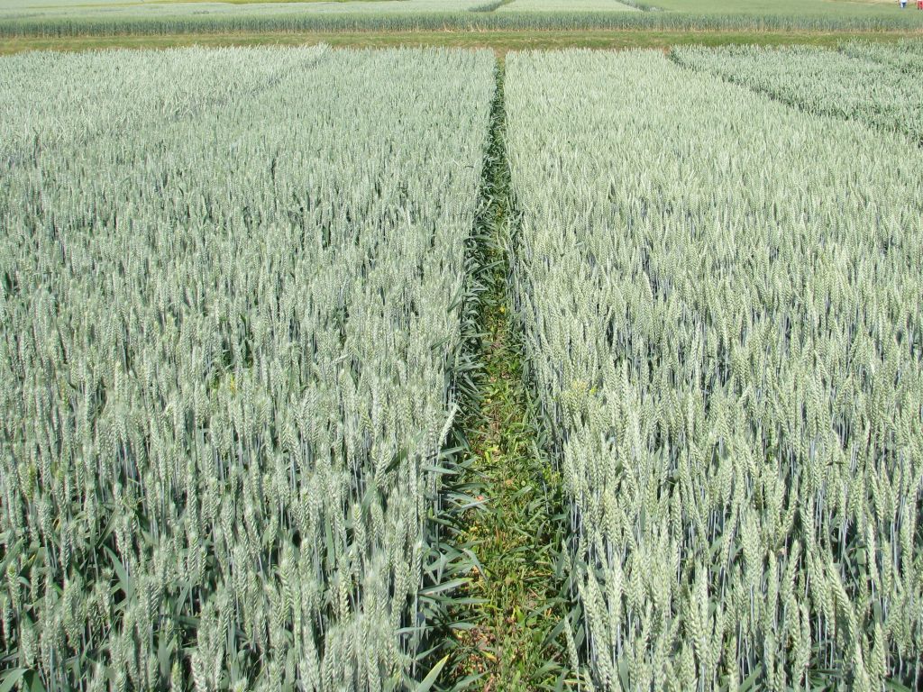 nik, ubezpieczenia uipraw, ubezpoieczenia zwierząt gospodarskich, szacowanie szkód łowieckich