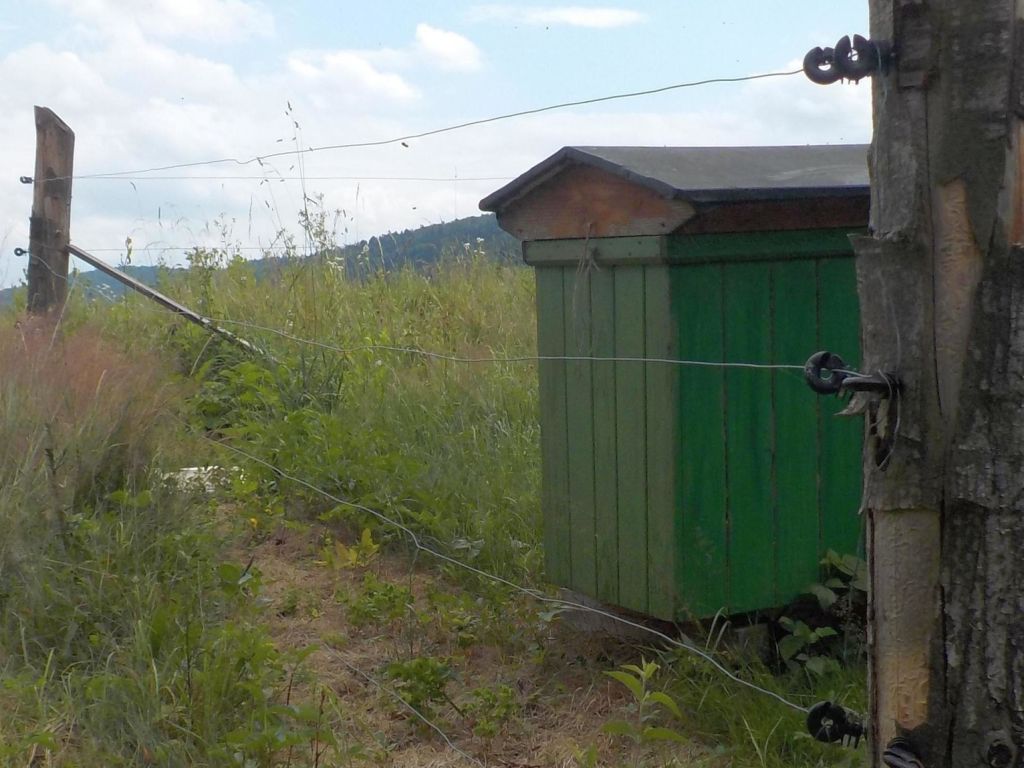RDOŚ w Rzeszowie, straty wyrządzane przez dzikie zwierzęta, podkarpacie, fladry, pastuchy
