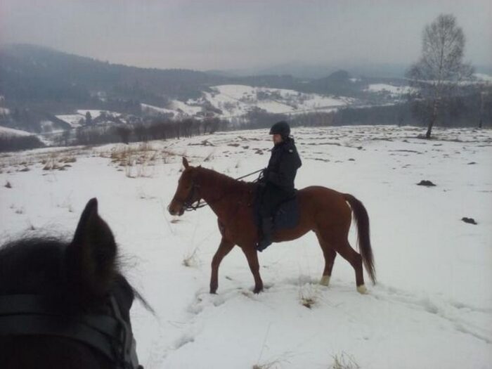 konie, policja, podkarpackie, policjanci na koniach