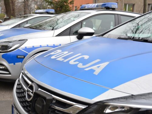 bystrzyca kłodzka, dolny śląsk, pijany woźnica, policja, Wioletta Martuszewska