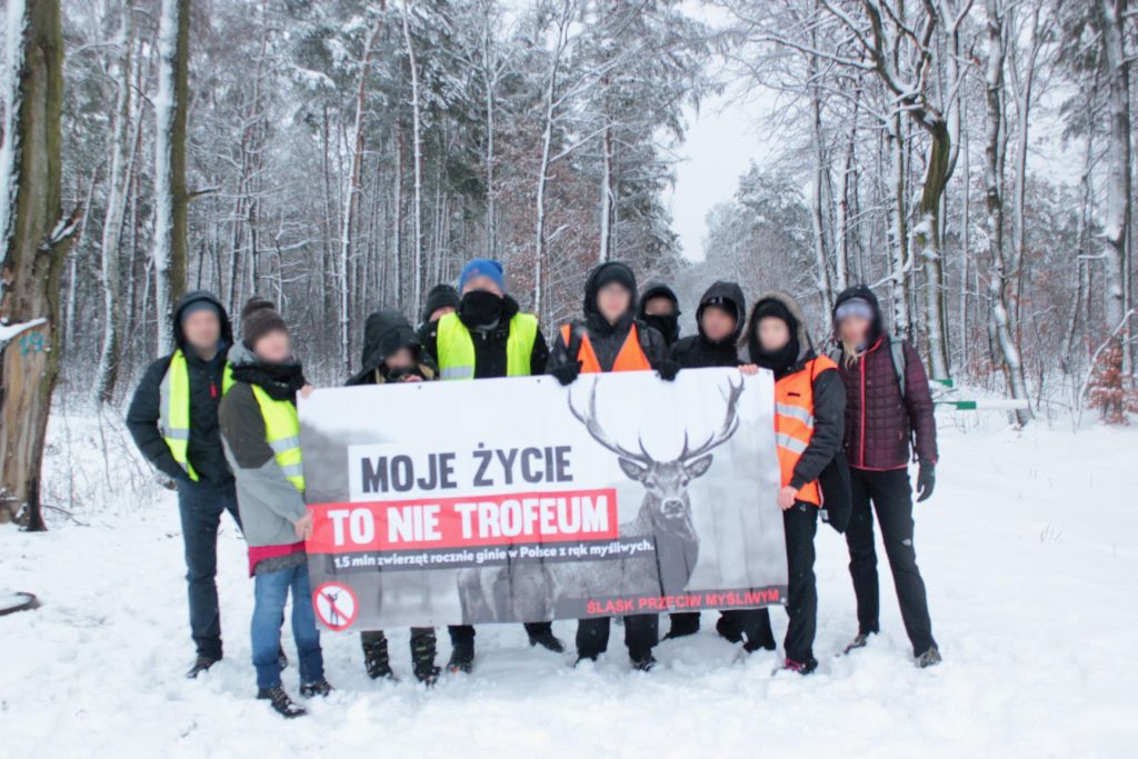 Odstrzał sanitarny dzików, odstrzał dzików, walka z asf w polsce, ministerstwo rolnictwa, polski związek łowiecki
