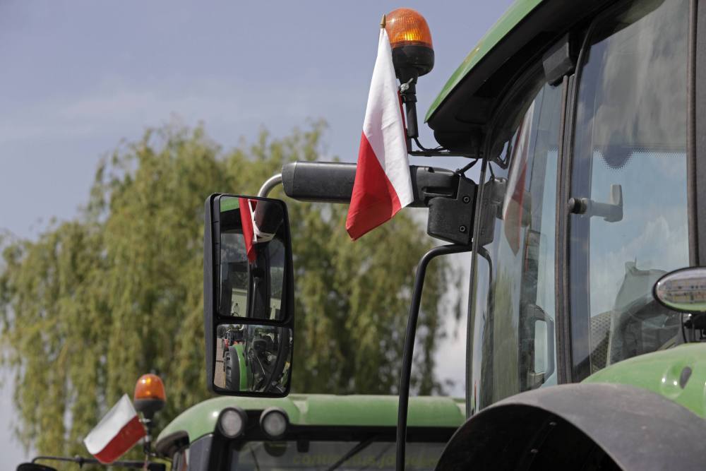 protesty rolników, blokady dróg krajowych, agrounia, michał Kołodziejczak, rosja, Dmitrij Abzałow