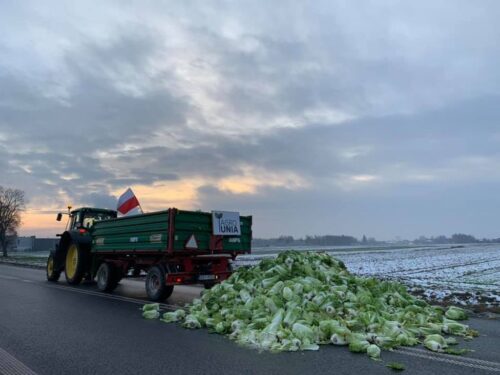 Unia Europejska, Nowy Zielony Ład, bioróżnorodność, rolnictwo, rolnicy, protest rolników, Instytut Gospodarki Rolnej