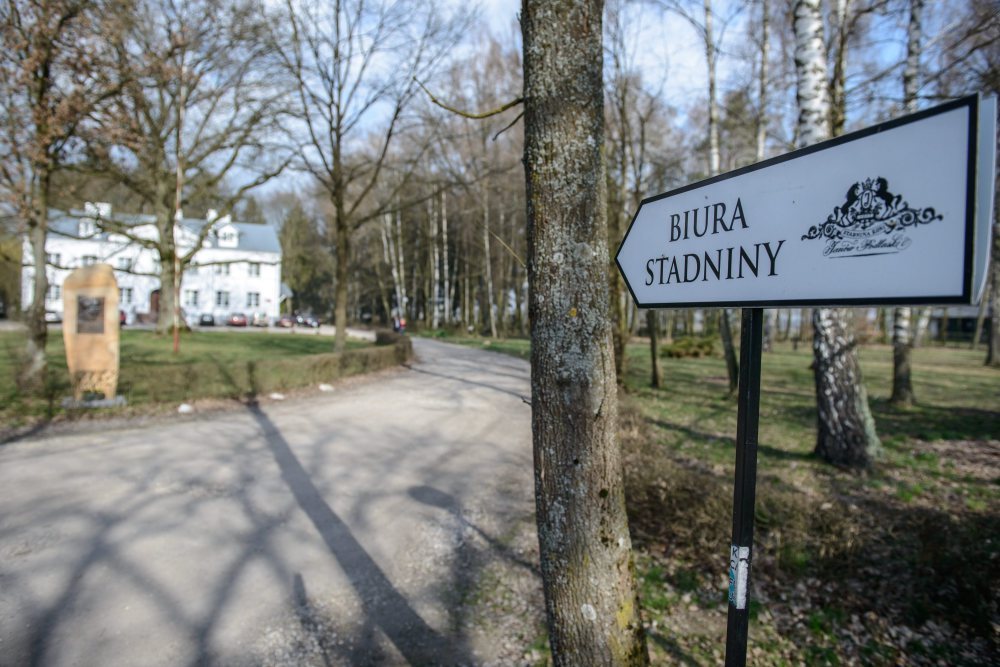 Stadnina Koni Janów Podlaski, Janów Podlaski, hodowla koni, kowr, hodowla koni, aukcja Pride of Poland