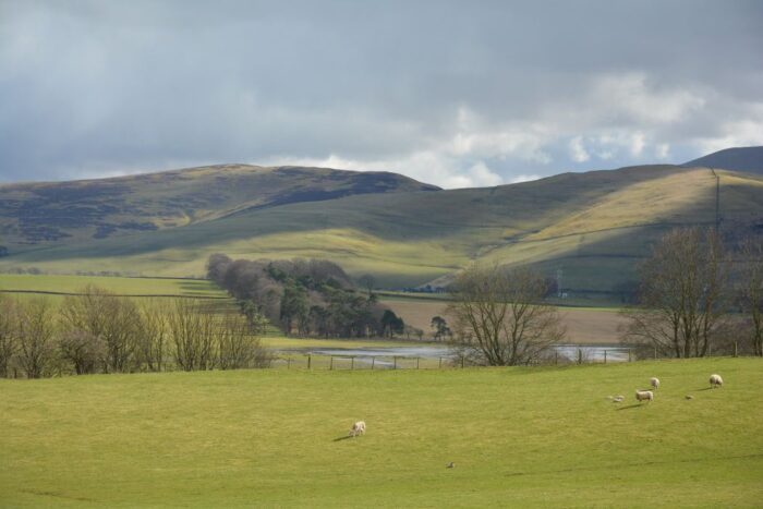 Brexit, rolnictwo, wyjście WIelkiej Brytanii z UE, agrobiznes