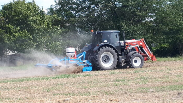 strategie grains, unijny eksport zbóż, rynek zbóż, pszenica
