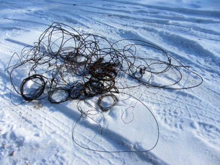 kłusownictwo, wnyki w lesie, Nadleśnictwa Orneta, Adam Siemakowicz, RDLP w Olsztynie