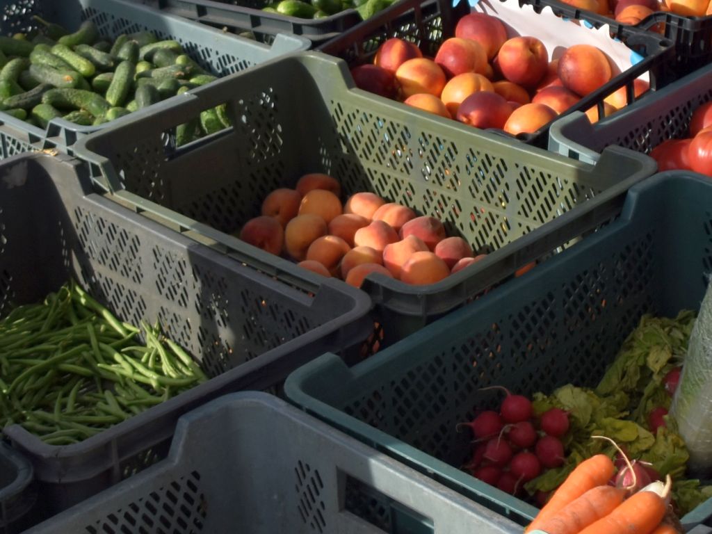 kontrole ijhar-s, kontrole żywności, produkcja zywności, znakowanie żywności