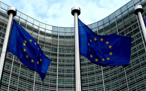 Anca Paduraru, mięso z chorych krów, mięso z nielegalnego uboju, kontrola mięsa, komisja europejska