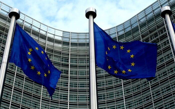 Anca Paduraru, mięso z chorych krów, mięso z nielegalnego uboju, kontrola mięsa, komisja europejska