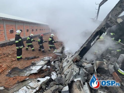 brożec, ferma drobiu w brożcu, powiat krapkowicki, produkcja drobiu, kurczęta