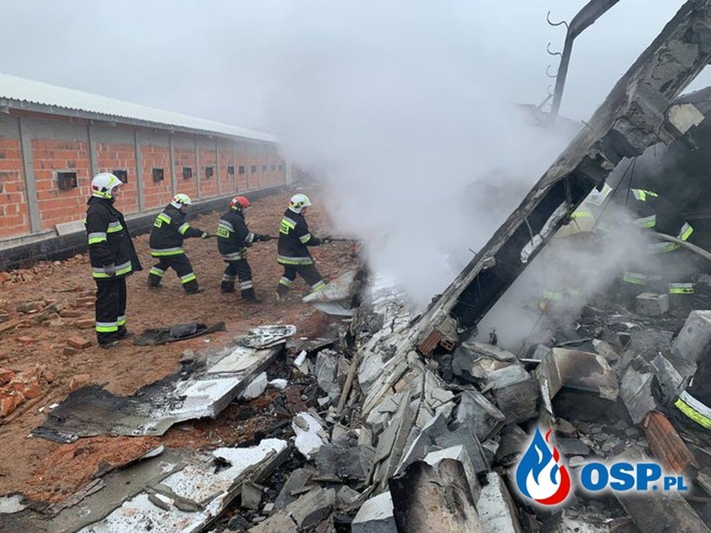 brożec, ferma drobiu w brożcu, powiat krapkowicki, produkcja drobiu, kurczęta