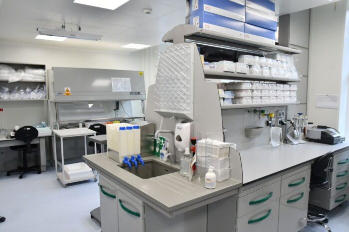 Zakład Higieny Weterynaryjnej w Gdańsku, walka z asf w polsce, jan krzysztof ardanowski