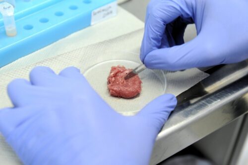 salmonella w wołowinie, Główny Lekarz Weterynarii, kontrola żywności, Główny Inspektorat Sanitarny