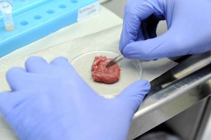 salmonella w wołowinie, Główny Lekarz Weterynarii, kontrola żywności, Główny Inspektorat Sanitarny