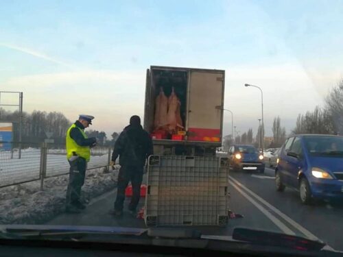 eksport produktów rolno-spożywczych, unia europejska, handel mięsem