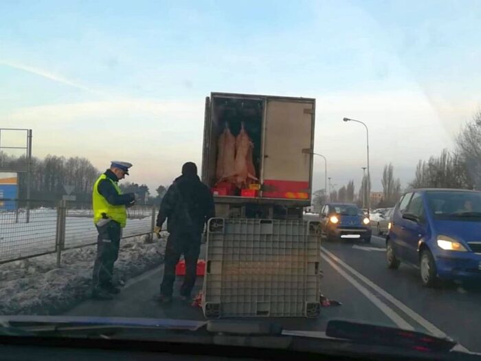 eksport produktów rolno-spożywczych, unia europejska, handel mięsem