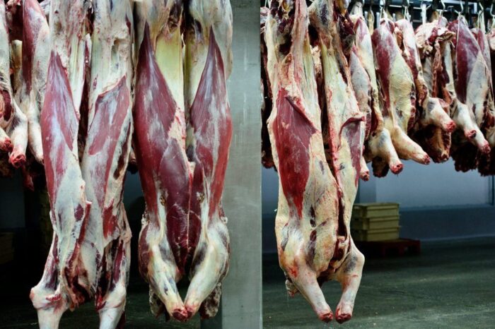 eksport produktów rolno-spożywczych, unia europejska, handel mięsem