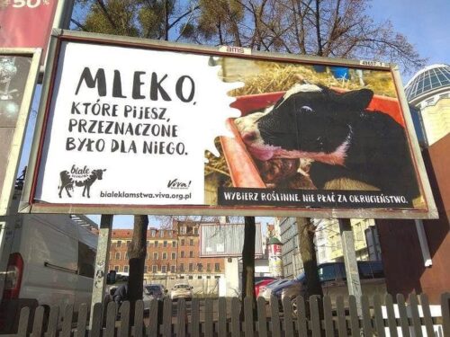 raport Zmiany preferencji Polaków w zakresie konsumpcji żywności, dariusz winek, Bank BGŻ BNP Paribas