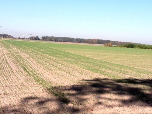 nawożenie, lubuska izba rolnicza, stanisław myśliwiec, azot, stosowanie nawozów azotowych