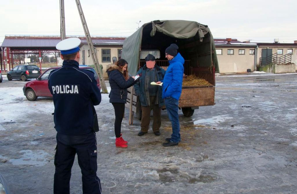 Szczucin, powiat dąbrowski, walka z asf w polsce, kontrola targowisk, transport trzody chlewnej