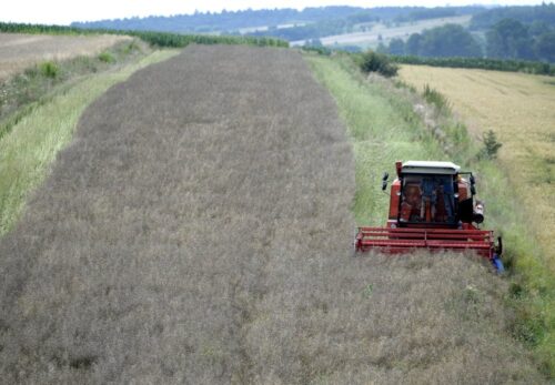 rolnictwo, budżet rolny, dotacje, ue