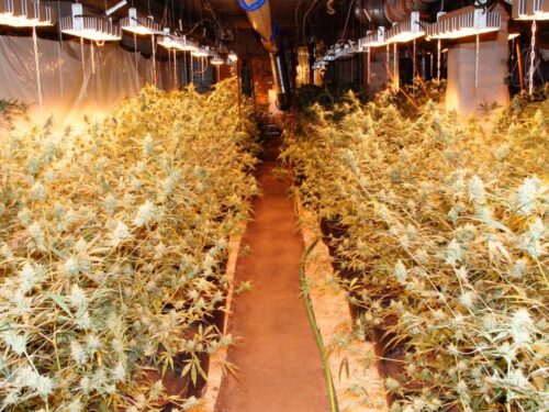 Suchodaniec, poiwiat strzelecki, zawalona stodoła