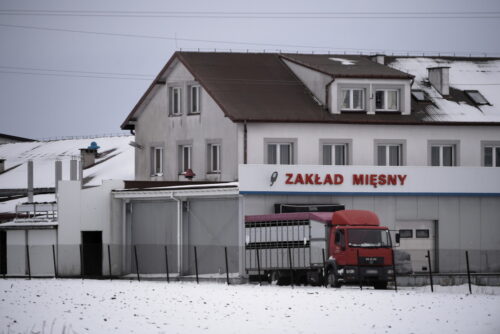 kontrola mięsa, czechy, Miroslav Toman, barbara ćwioro, Ostrowia Mazowiecka, Aleksandra Pivec