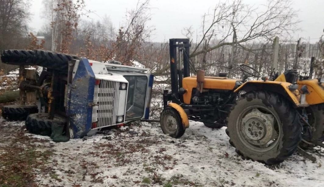 wycinka drzew, wyrąb drewna, gmina łaziska, głodno, opole lubelskie
