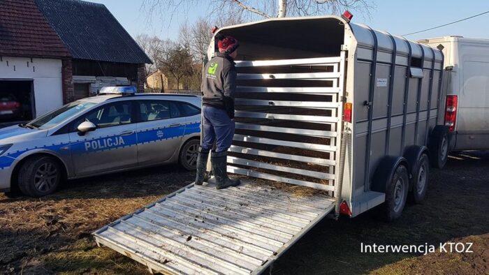 Krakowskie Towarzystwo Opieki nad Zwierzętami