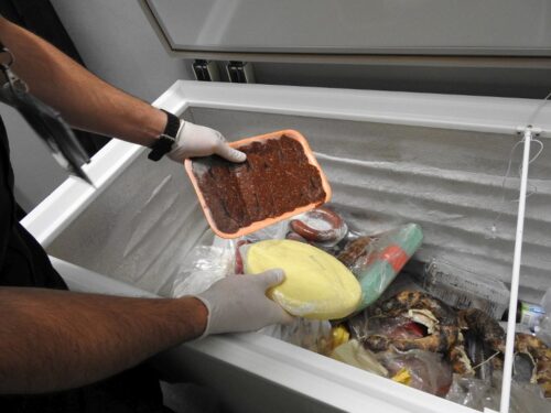 Izba Administracji Skarbowej, lotnisko chopina, nielegalny wwóz żywności, kontrola żywności, Anna Szczepańska