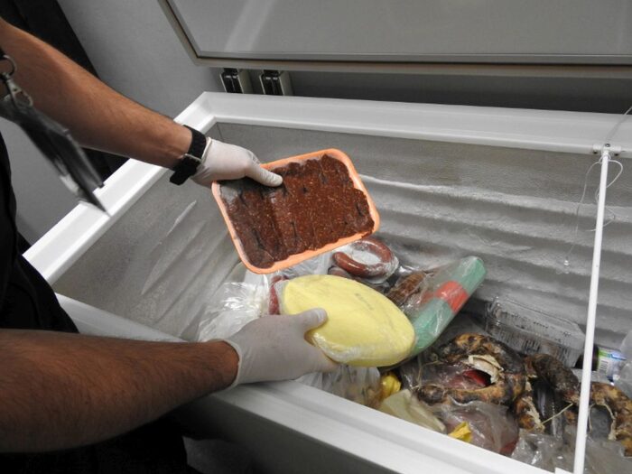 Izba Administracji Skarbowej, lotnisko chopina, nielegalny wwóz żywności, kontrola żywności, Anna Szczepańska