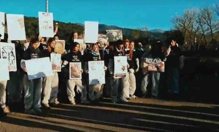 Meat the Victims", obrońcy praw zwierząt, trzoda chlewna, dobrostan zwierząt