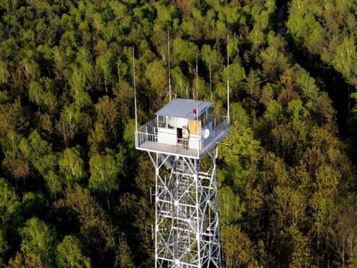 lasy_panstwowe_sprzedaz