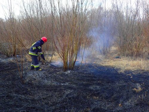 wypalanie traw, prawo, mandat, grzywna, zakaz wypalania traw