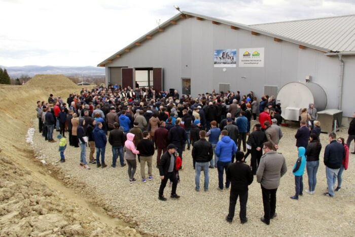 drewno klejone, roboty udojowe, krowy, obora