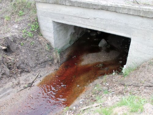 ścieki z ubojni, ubojnia, Radoszyce, powiat konecki, KPP Końskie