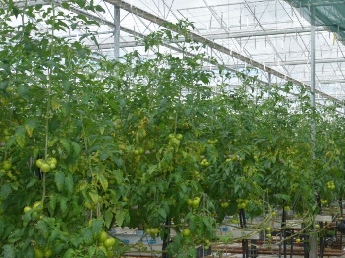 vat na soki i napoje