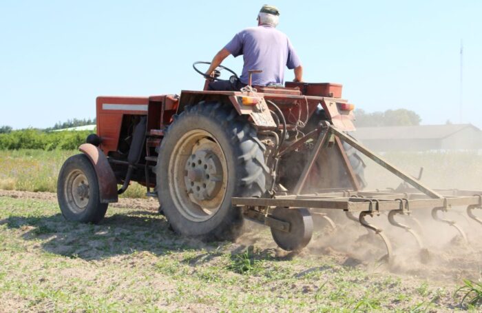 prawo, sąd, wyrok, RPO, Sąd Najwyższy, skarga nadzwyczajna