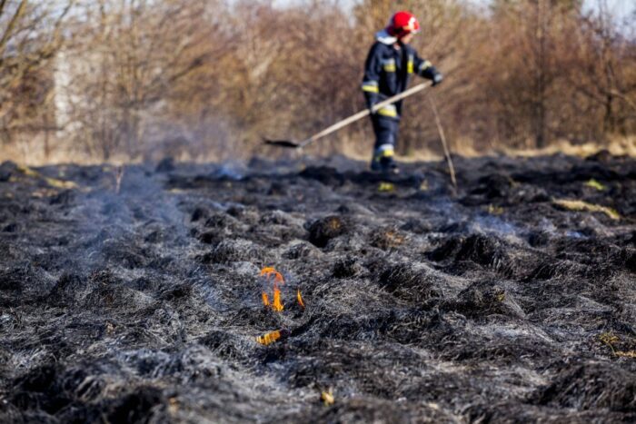 wypalanie traw, arimr, utrata dopłat bezpośrednich, gleba jałowa, użyźnienie gleby