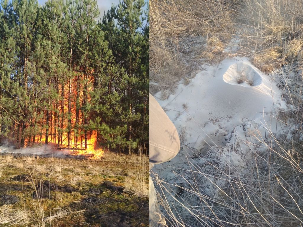 wypalanie traw, Obojna, Kotowa Wola, powiat stalowowolski, KP pSP Stalowa Wola, Adam Kochanowicz