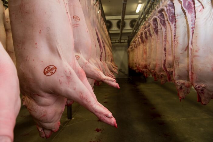 Eksport produktów rolno-spożywczych, Unia Europejska, import produktów rolno-spożywczych, wartość eksportu