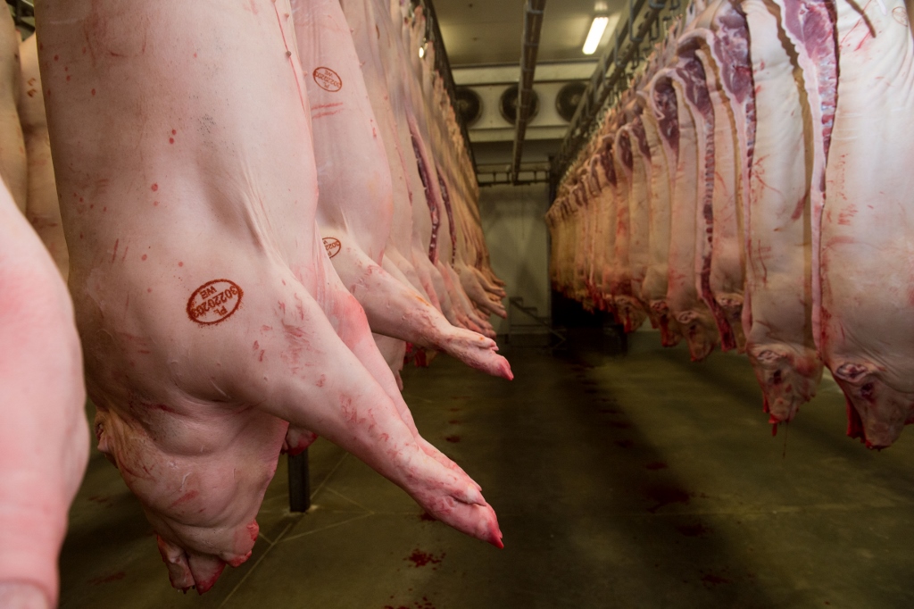 Eksport produktów rolno-spożywczych, Unia Europejska, import produktów rolno-spożywczych, wartość eksportu