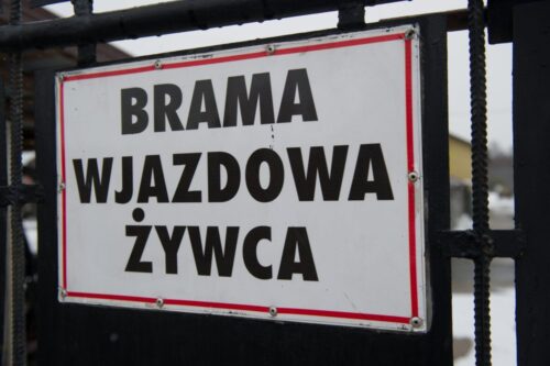 kontrola mięsa, kontrola rzeźni, audyt w ubojniach, wołowina, drób, katarzyna piskorz
