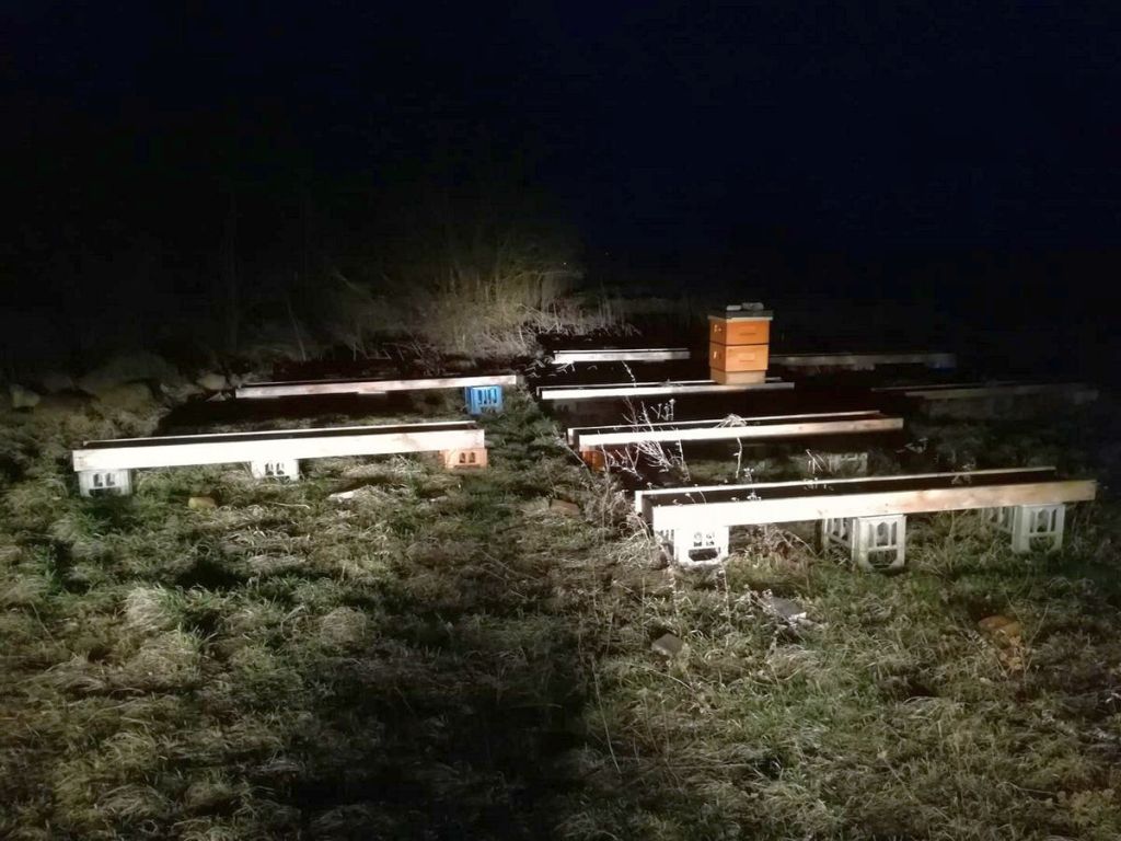 kradzież uli, pasieka, gmina janowiec wielkopolski,żnin, kpp żnin
