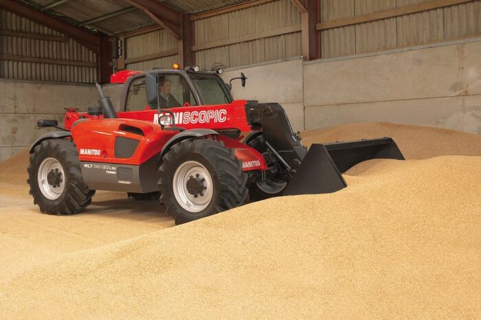 ziarno, zboża, pszenica, Agencja Rynku Rolnego, żywiec wieprzowy