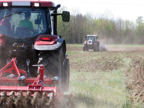 nawożenie, NIK, raport, gleba, uprawa, badanie gleby