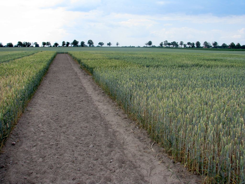 obrót ziemią w Polsce, ustawa o kształtowaniu ustroju rolnego, kupno ziemi, dzierżawa ziemi