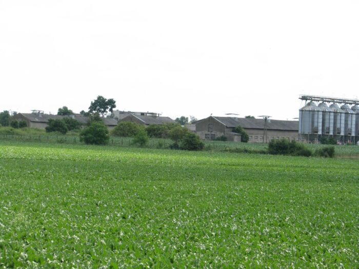 nawożenie, NIK, raport, gleba, uprawa, badanie gleby