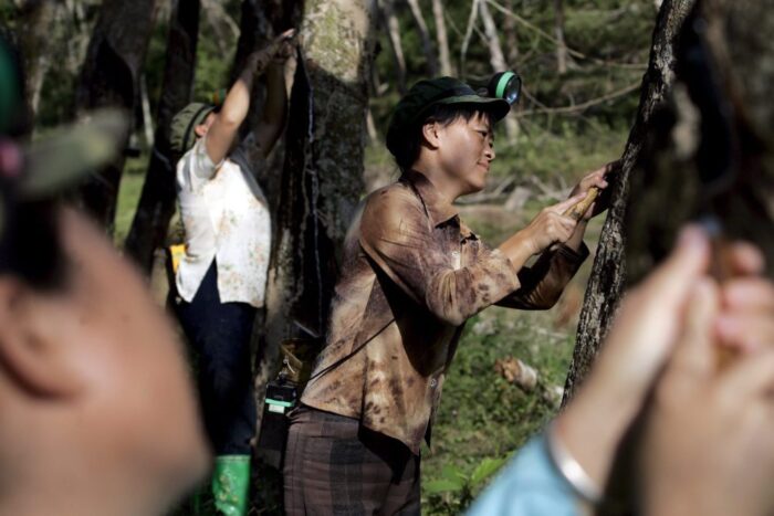 marek sawicki, ministerstwo rolnictwa, produkty rolno-spożywcze